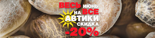 Минус 20% на все автоцветы