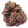 Семена  Purple OG feminised Ganja Seeds