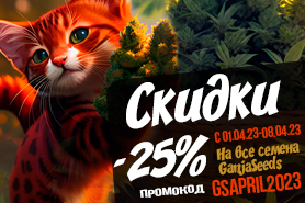 - 25% на семена конопли GanjaSeeds!