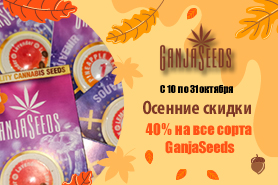 Октябрьский обвал цен с 40% скидкой от GanjaSeeds