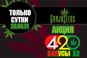 420 – 20 апреля бонусы умножаются на 2!