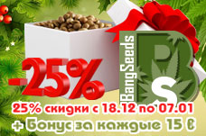 BangSeeds: скидка на семена конопли -25%